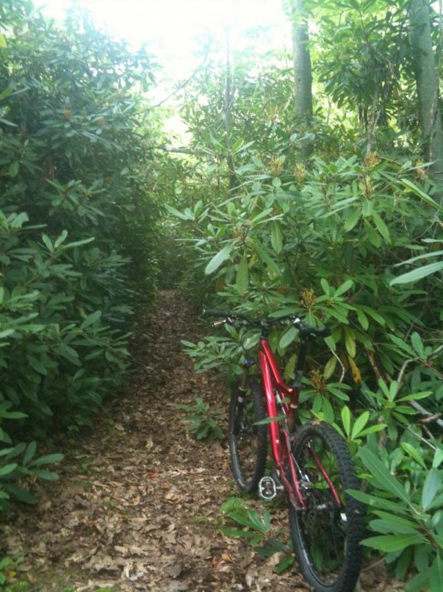 Cross Cut Trail Cross Cut Trail